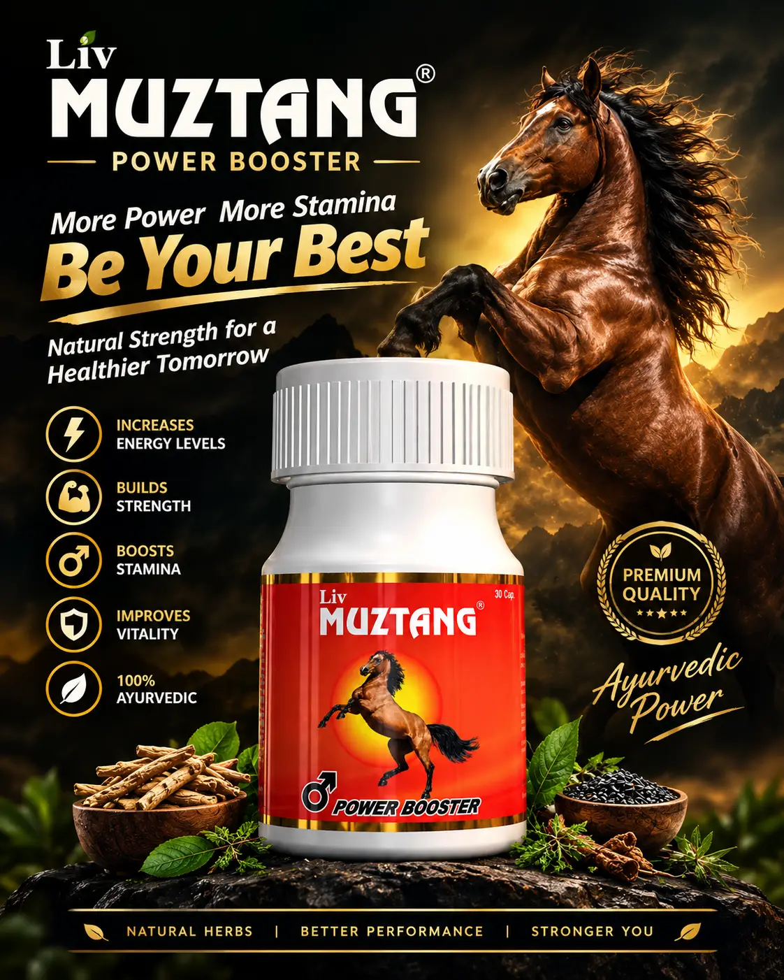 Premium Ayurvedic Power Booster Poster
